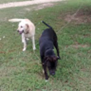 Meet your Posher, Gail